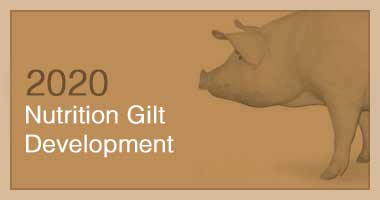 Nutrition Gilt Development